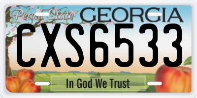 GA license plate CXS6533