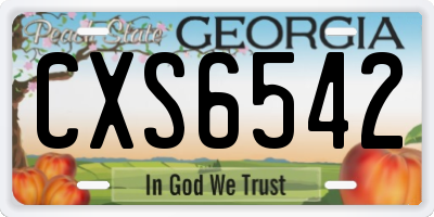 GA license plate CXS6542