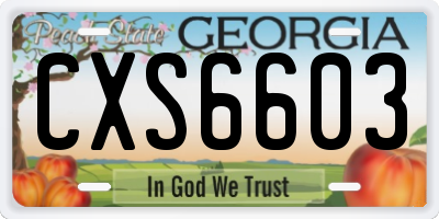 GA license plate CXS6603