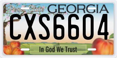 GA license plate CXS6604
