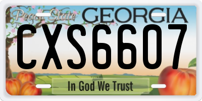 GA license plate CXS6607