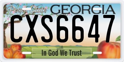 GA license plate CXS6647