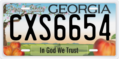 GA license plate CXS6654