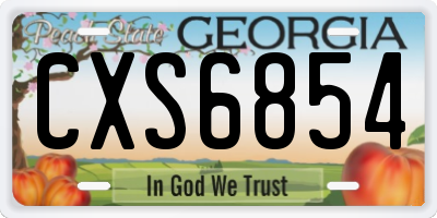 GA license plate CXS6854