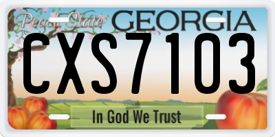 GA license plate CXS7103