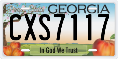 GA license plate CXS7117