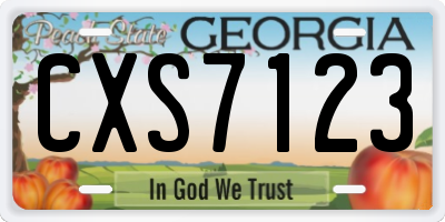 GA license plate CXS7123
