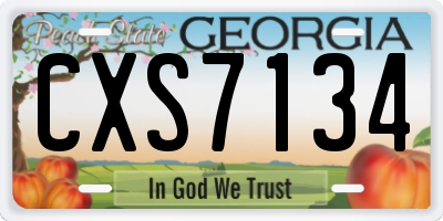 GA license plate CXS7134