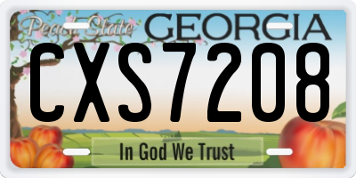 GA license plate CXS7208