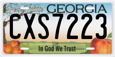 GA license plate CXS7223