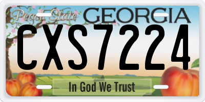 GA license plate CXS7224
