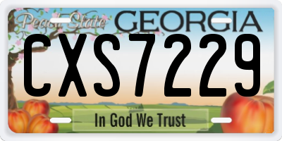 GA license plate CXS7229
