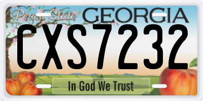 GA license plate CXS7232