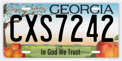 GA license plate CXS7242