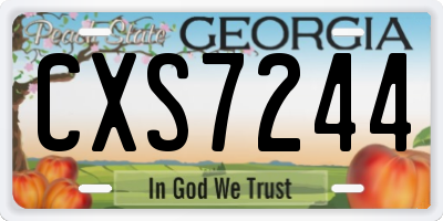 GA license plate CXS7244