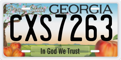 GA license plate CXS7263