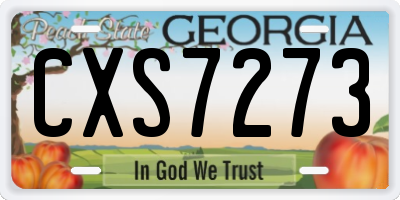 GA license plate CXS7273