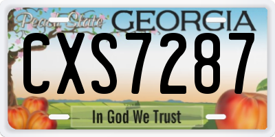 GA license plate CXS7287