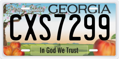 GA license plate CXS7299
