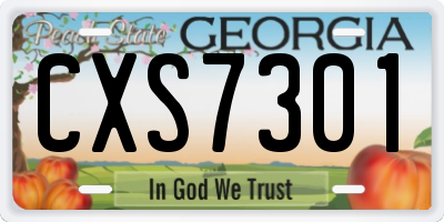 GA license plate CXS7301