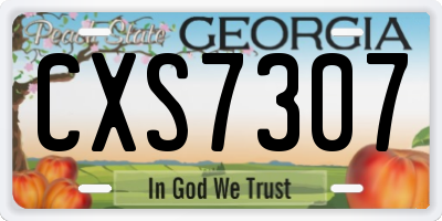 GA license plate CXS7307