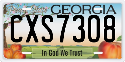 GA license plate CXS7308