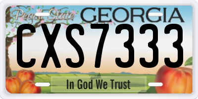 GA license plate CXS7333
