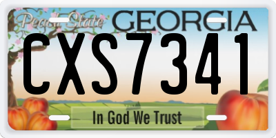 GA license plate CXS7341