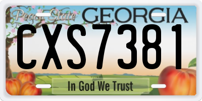GA license plate CXS7381