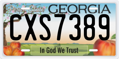 GA license plate CXS7389