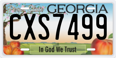 GA license plate CXS7499
