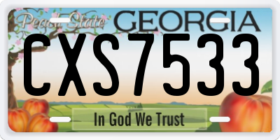 GA license plate CXS7533