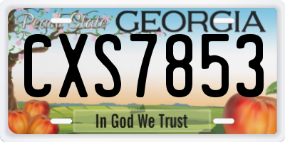 GA license plate CXS7853