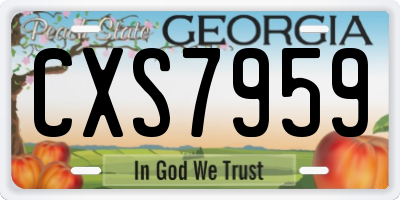 GA license plate CXS7959