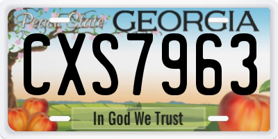 GA license plate CXS7963