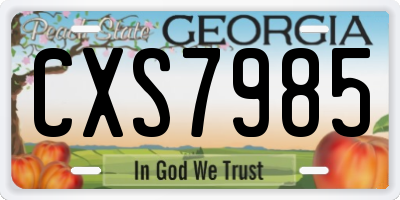 GA license plate CXS7985