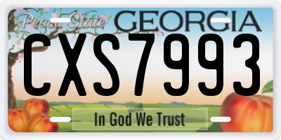 GA license plate CXS7993
