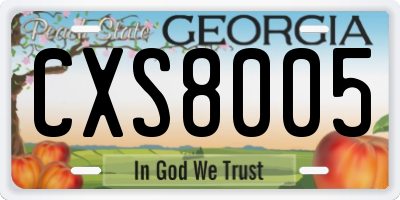 GA license plate CXS8005
