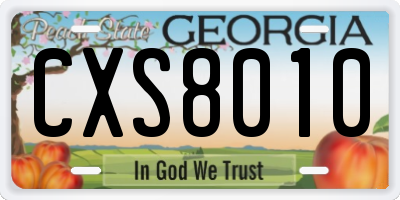 GA license plate CXS8010