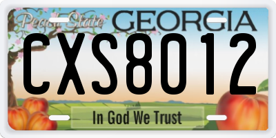 GA license plate CXS8012