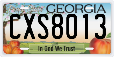 GA license plate CXS8013