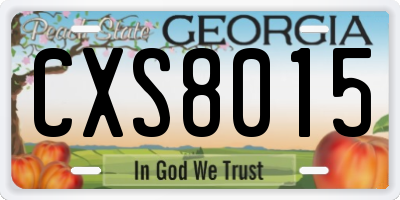 GA license plate CXS8015