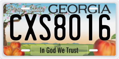GA license plate CXS8016