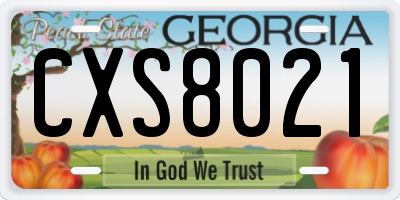 GA license plate CXS8021