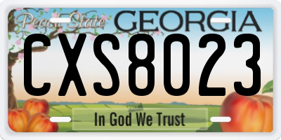 GA license plate CXS8023