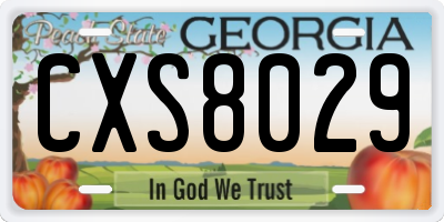 GA license plate CXS8029