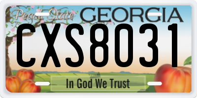 GA license plate CXS8031
