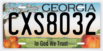 GA license plate CXS8032