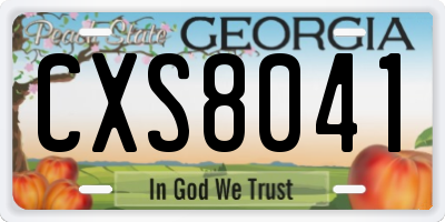 GA license plate CXS8041
