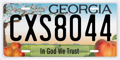 GA license plate CXS8044